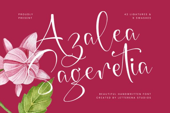 Azalea Sageretia: The Luxury Script Font for Clear Campaign Messaging