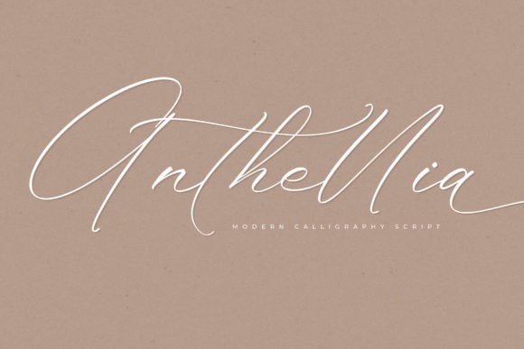 How Anthellia Font Became My Favorite Tool for Branding