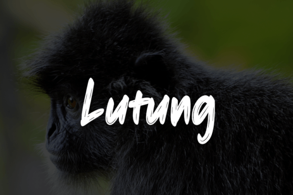 Lutung: A Script Font with Serious Charm